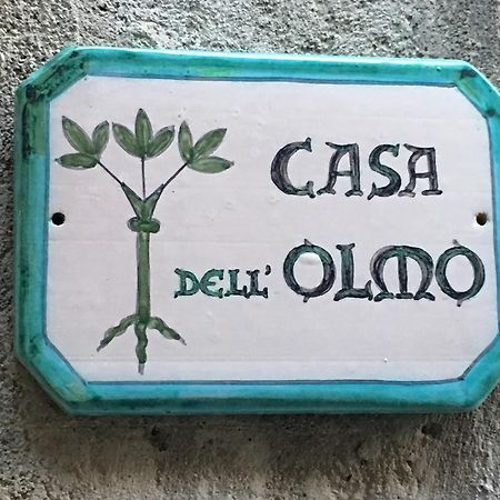 Casa Dell'Olmo Apartman Orvieto Kültér fotó